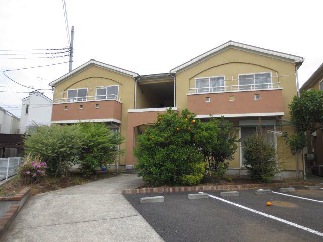 シトラスコートA
