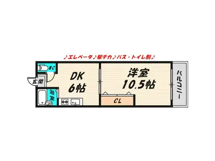 メゾン和光(1DK/2階)の間取り写真