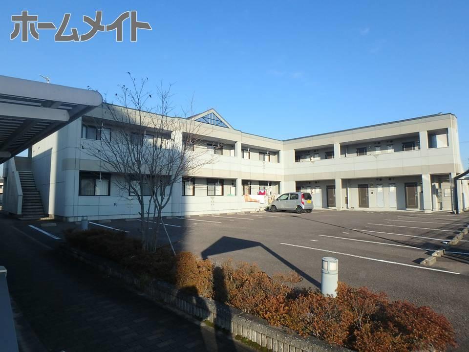 アイディール・Y