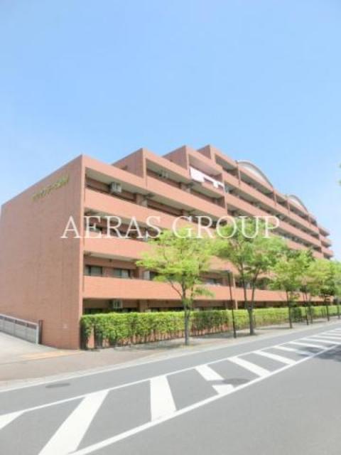 クリサンテーム妙典