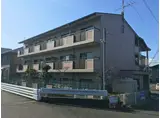 セラー野村