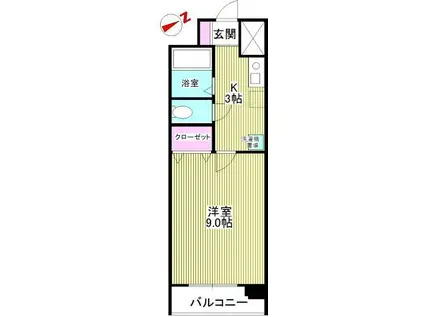 プランドール柏台(1K/3階)の間取り写真