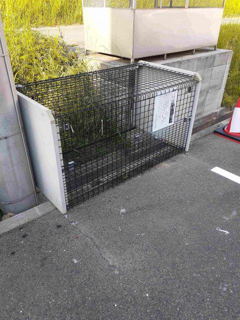 ルージュRS三原明神