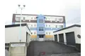 PLAUD ZENIBAKO