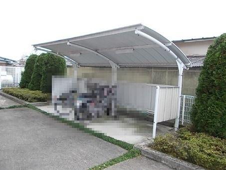 グレースぐみの木