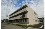 ヴィータフェリーチェIII