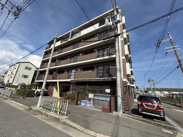 どりーむ