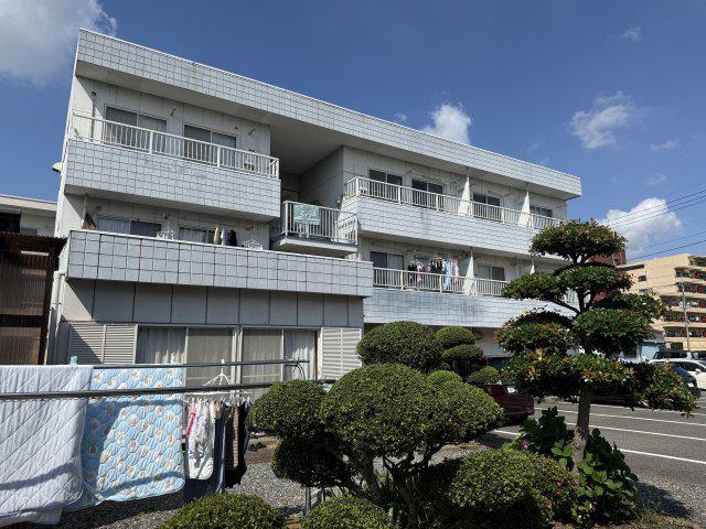 ハシモトハイツ