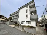 ステューディオ46
