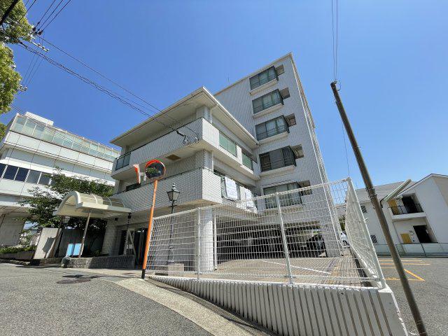 ダンディライオン住吉川