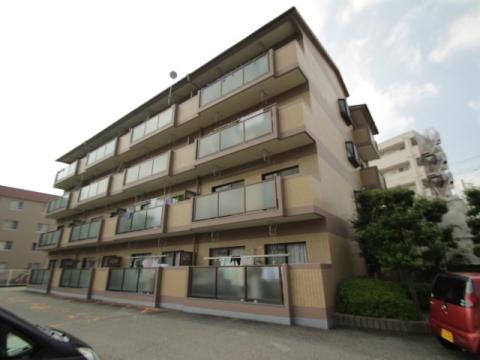 シルクエクセル