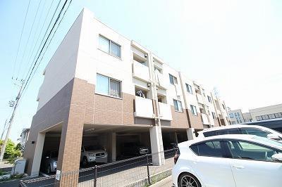 ブルーム・はなみずき
