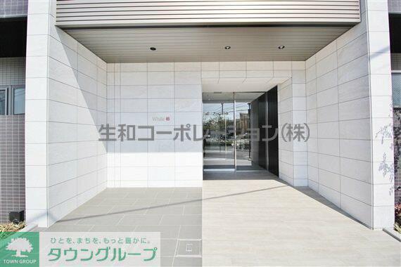 ホワイル椿
