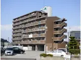 ウェルスMORI