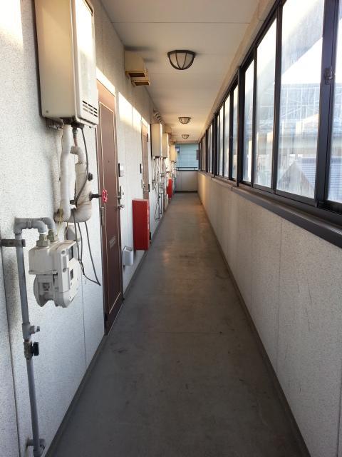 ひめさゆり