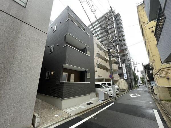ANECIS 橘