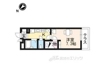 レオパレステルヌーラ彦根(1K/2階)の間取り写真