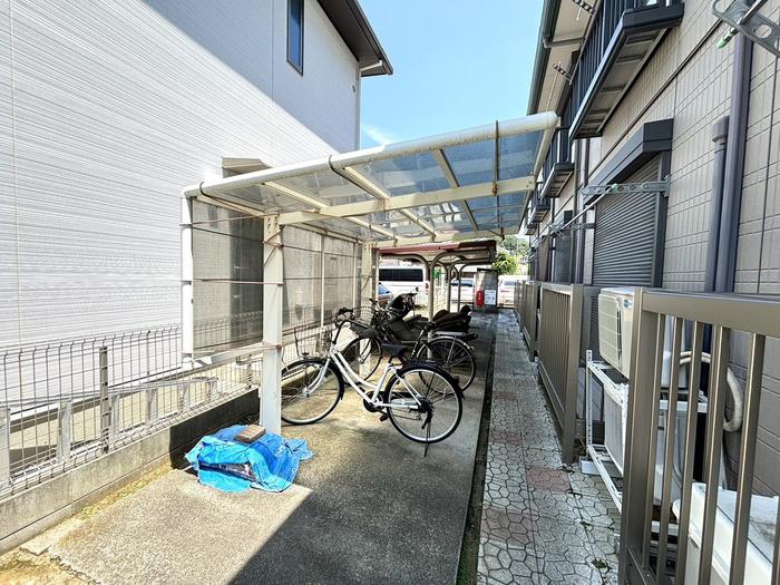 ハイビスカス