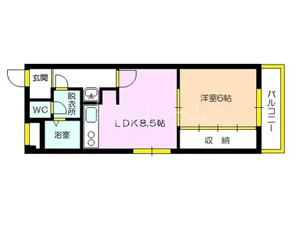 メゾン朋和(1LDK/3階)の間取り写真