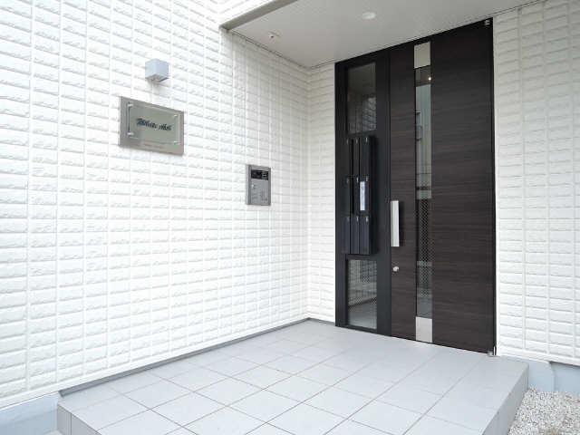 WHITE ASH