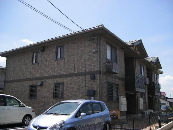 エバーグリーン
