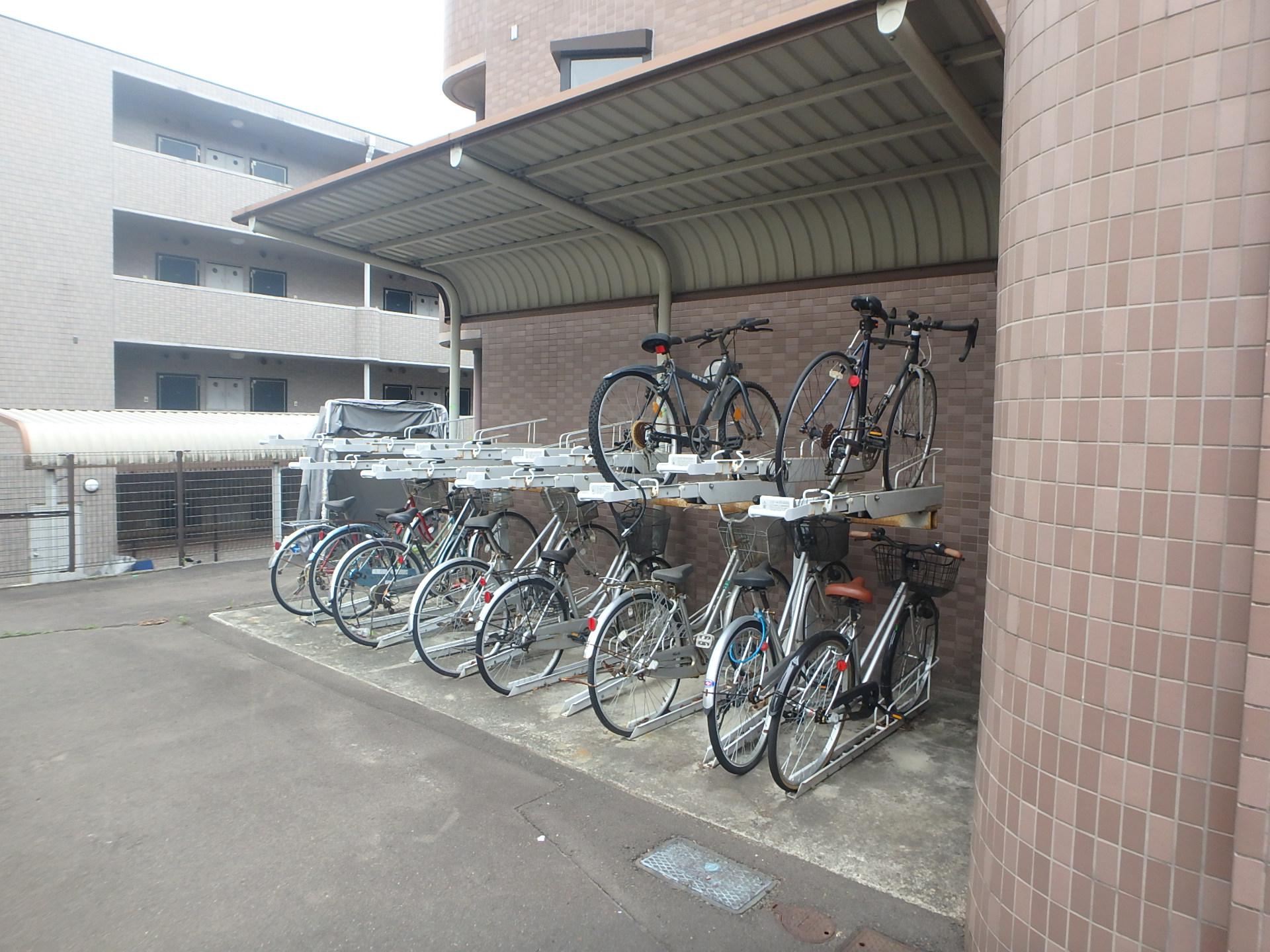シェモア泉中央