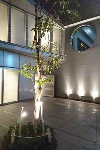 フローラル中葛西V