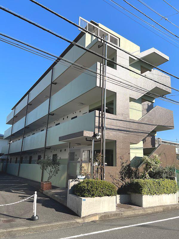 グリーンオーク