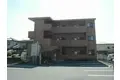 レアールセリ 函南町