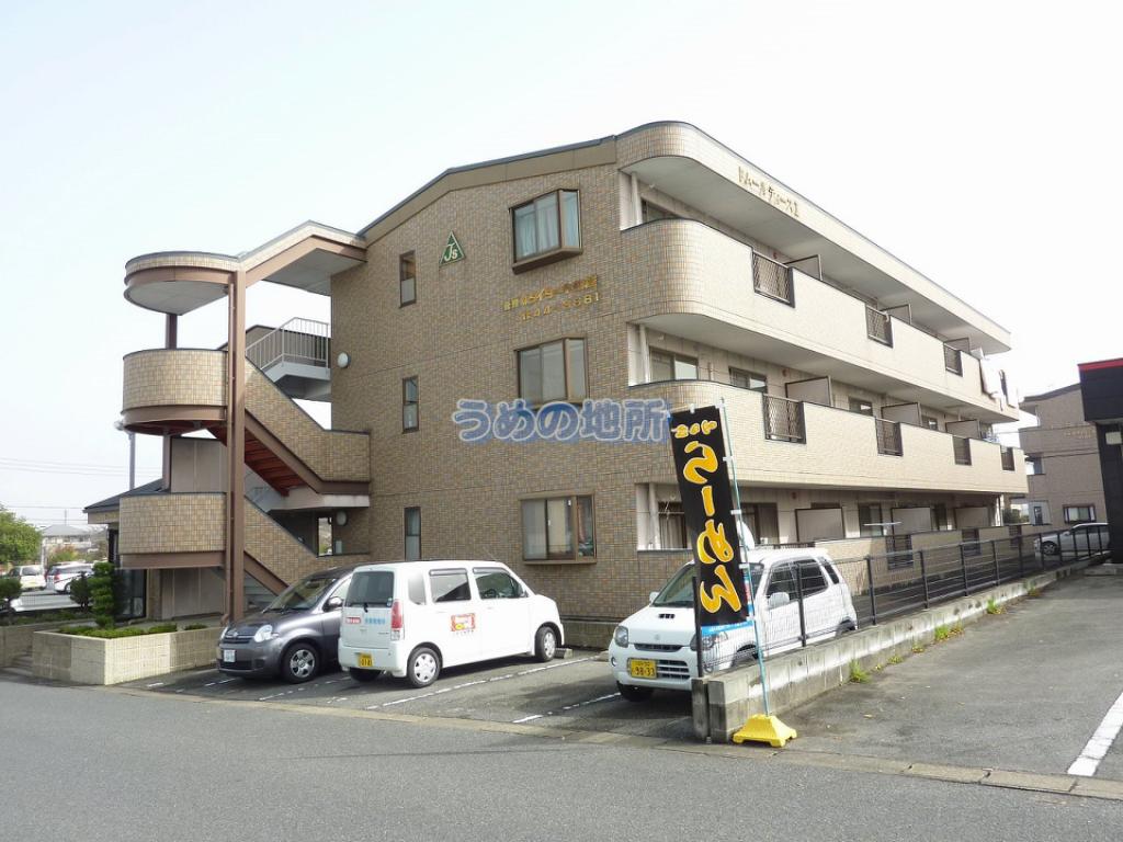 ドムールTSI