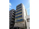 ディアレイシャス菊川