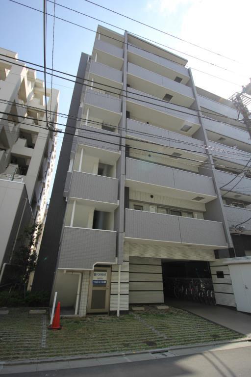 ルピナス・住吉