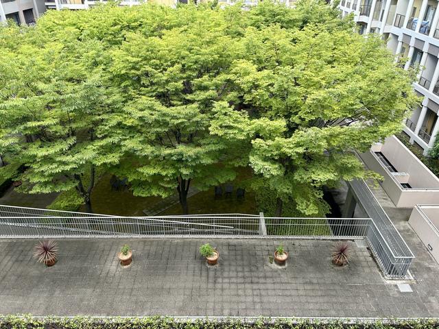 パティオス16番街