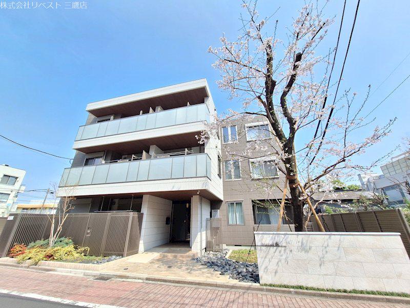 MAISON桜