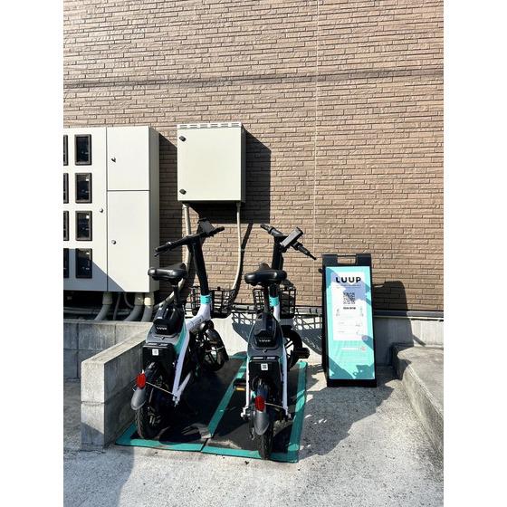 アスコット一本杉I