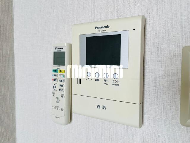 アムール白楽