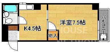 ロータスクラタ(1K/5階)の間取り写真