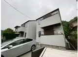 MIRADOR SAKURA
