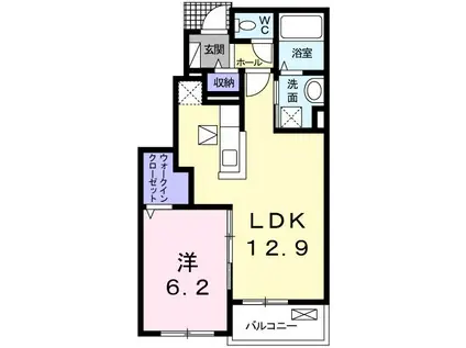 カーサレジオII(1LDK/1階)の間取り写真