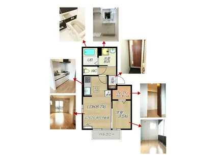 カタルパトモダ(1LDK/2階)の間取り写真