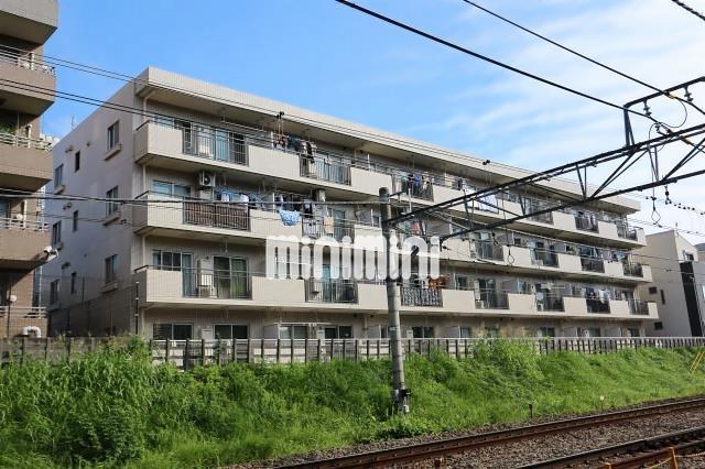 シャレーナ藤が丘