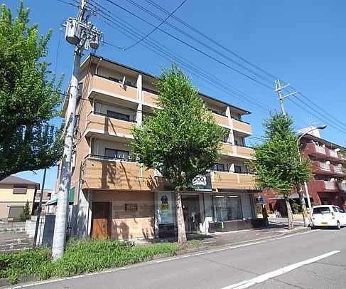 コンドミニオ531