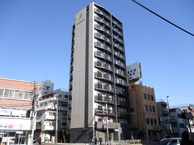 KNOTS大山