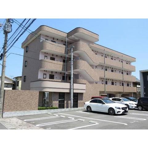 さくらそう 上野