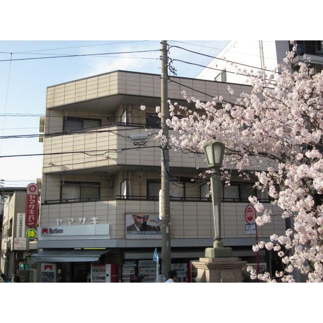 バイムフルス白金II