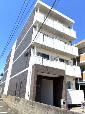 COCOTTO 月出