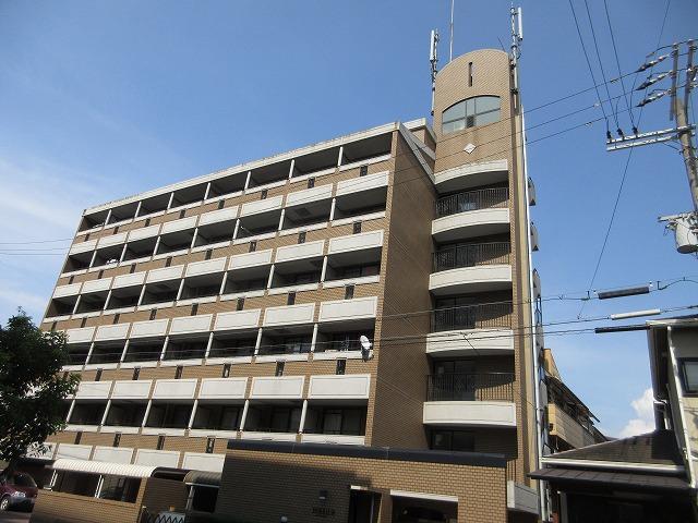 デンクマール50