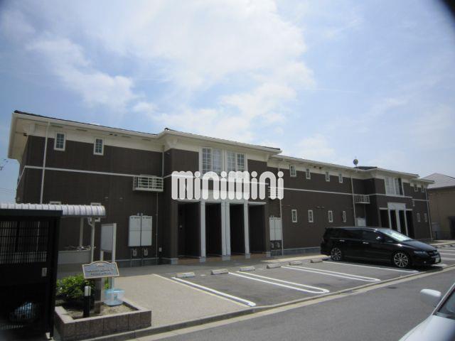 マウンテンローレルN