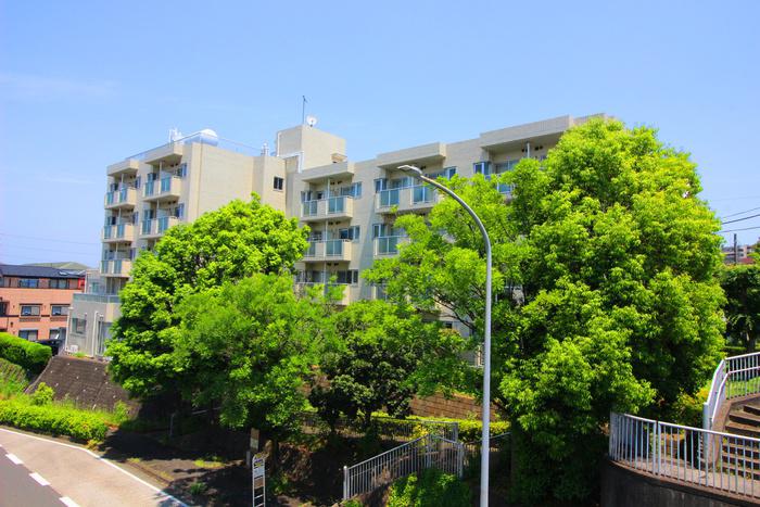 T`S GARDEN都筑ふれあいの丘II(1LDK/1階)
