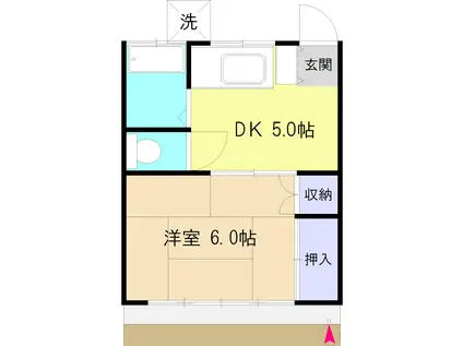ハイツクローカス(1DK/1階)の間取り写真